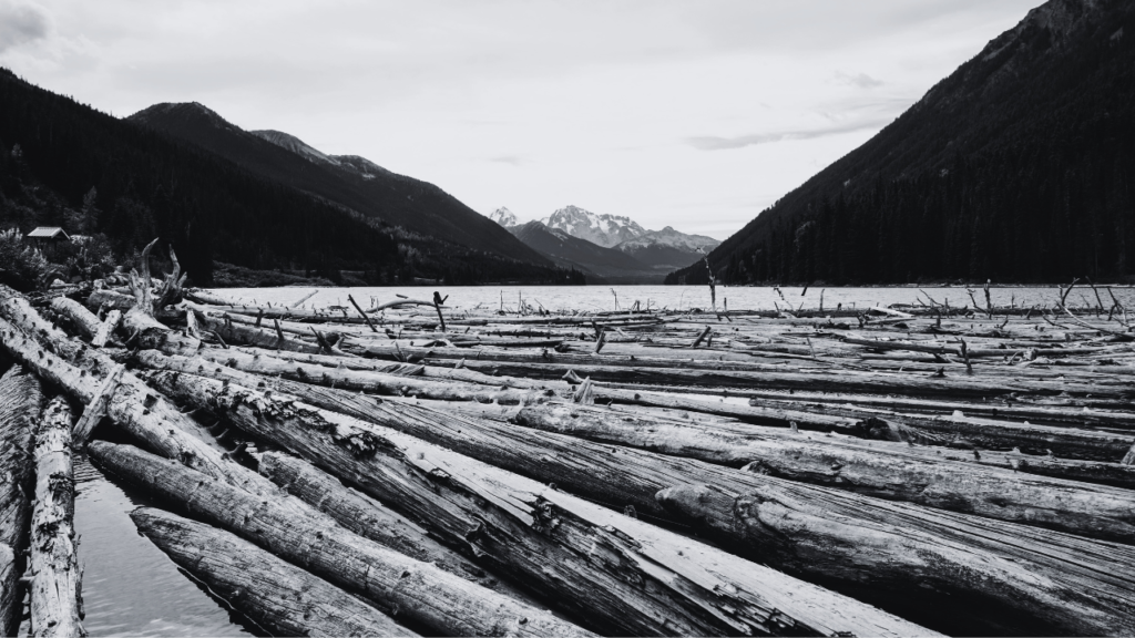 Drowning in Dilution: How Inflexibility is Killing Your Brand’s Competitive Edge