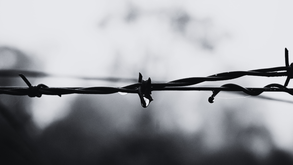 The Hidden Cost of Commitment: Stop Making fte Hires You Don’t Fully Need